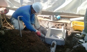 2012-03-14_111337.jpg