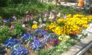 2012-04-05_125449.jpg