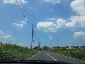 20120802_125226.jpg