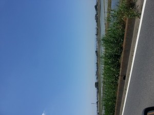 20130531_111154.jpg